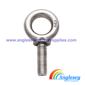 Stainless Steel Eye Bolt